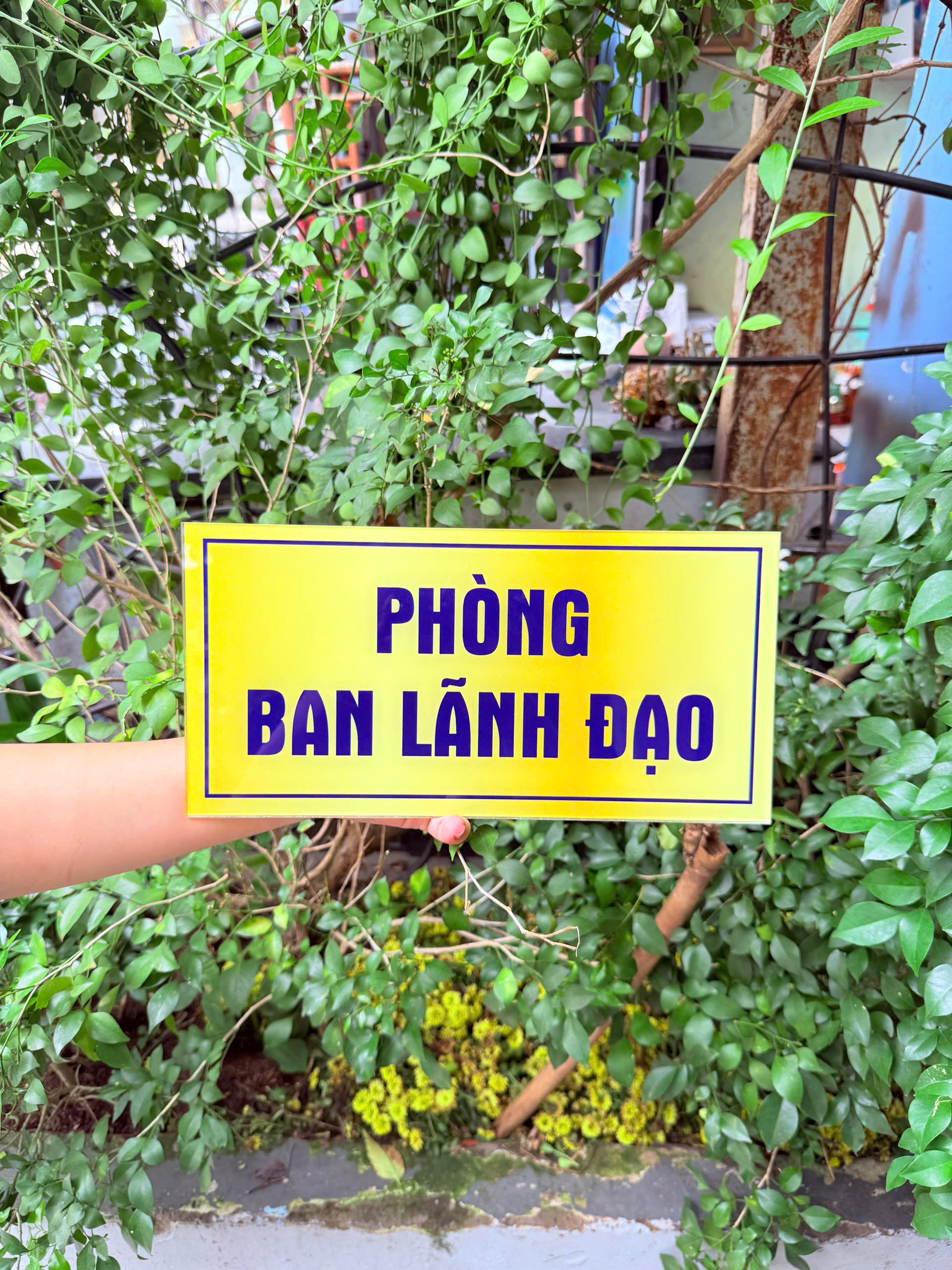 bang ten phong ban